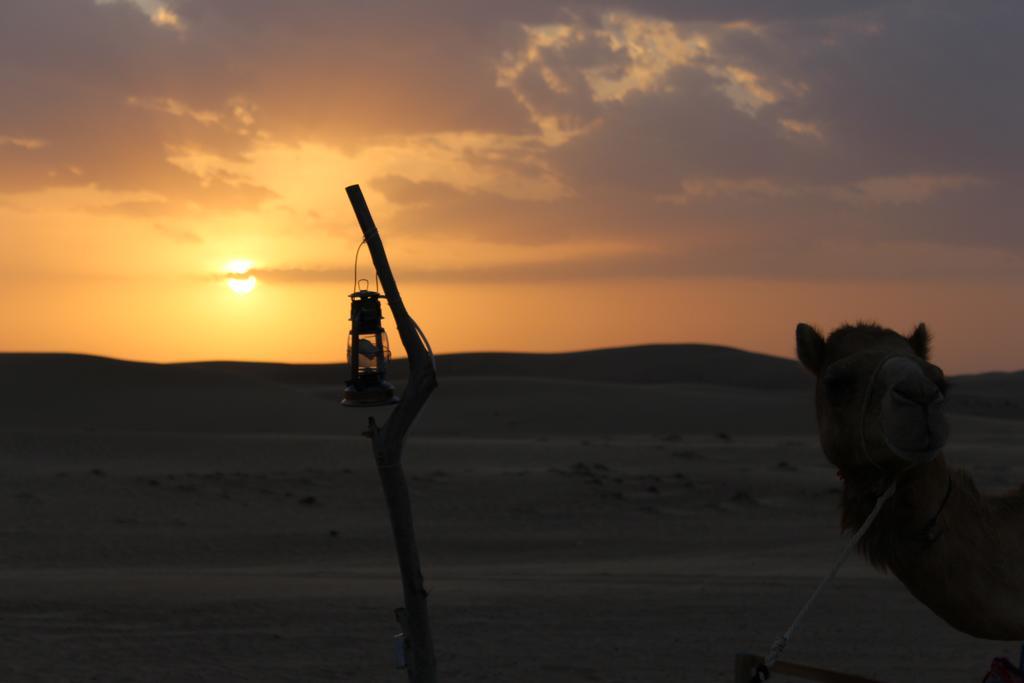 Legend Desert Camp Fulayj al Masha'ikh Ngoại thất bức ảnh